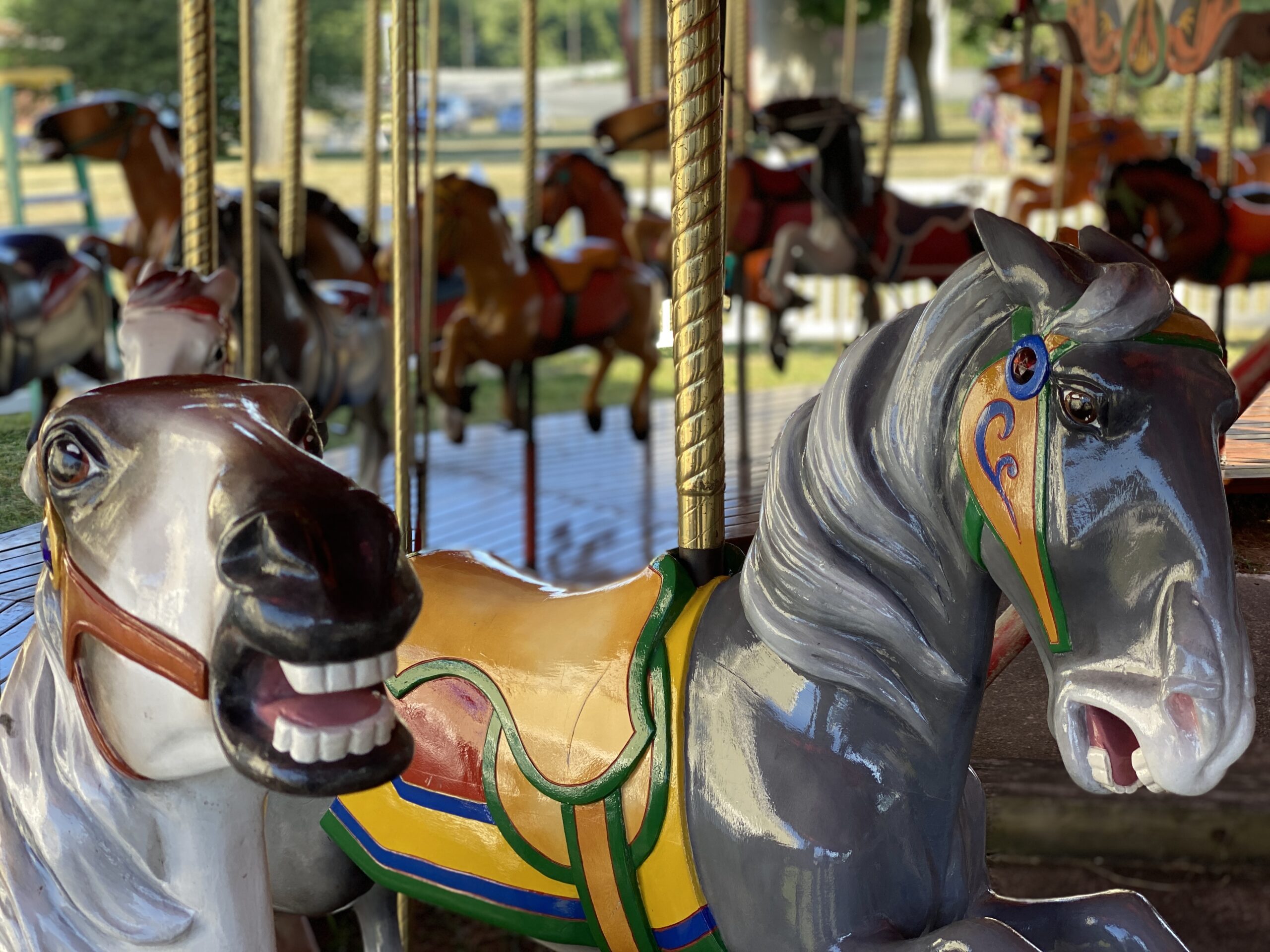 close-up of horses on kimberly's carousel